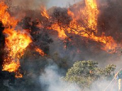 洛杉磯爆發(fā)史上最大山火，宣布進(jìn)入緊急狀態(tài)