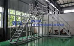 工業(yè)踏步平臺安全及護(hù)欄要求有哪些